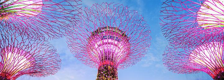 Flights from US and Canada