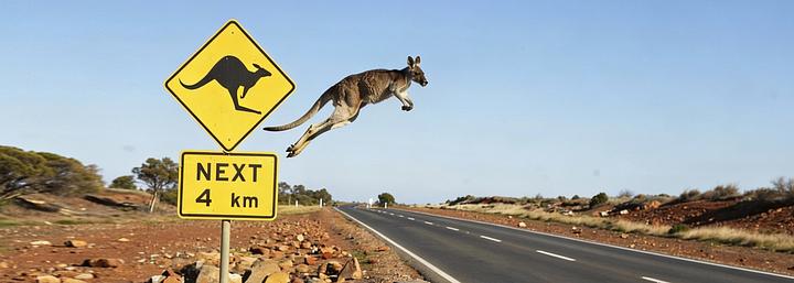 Flights from US and Canada