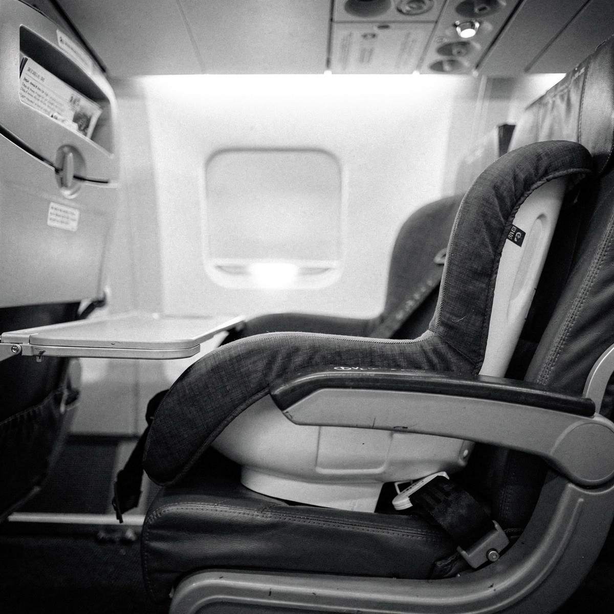 A single child restraint system sits empty on an economy seat in a commercial aircraft cabin, bathed in cool white overhead lighting.