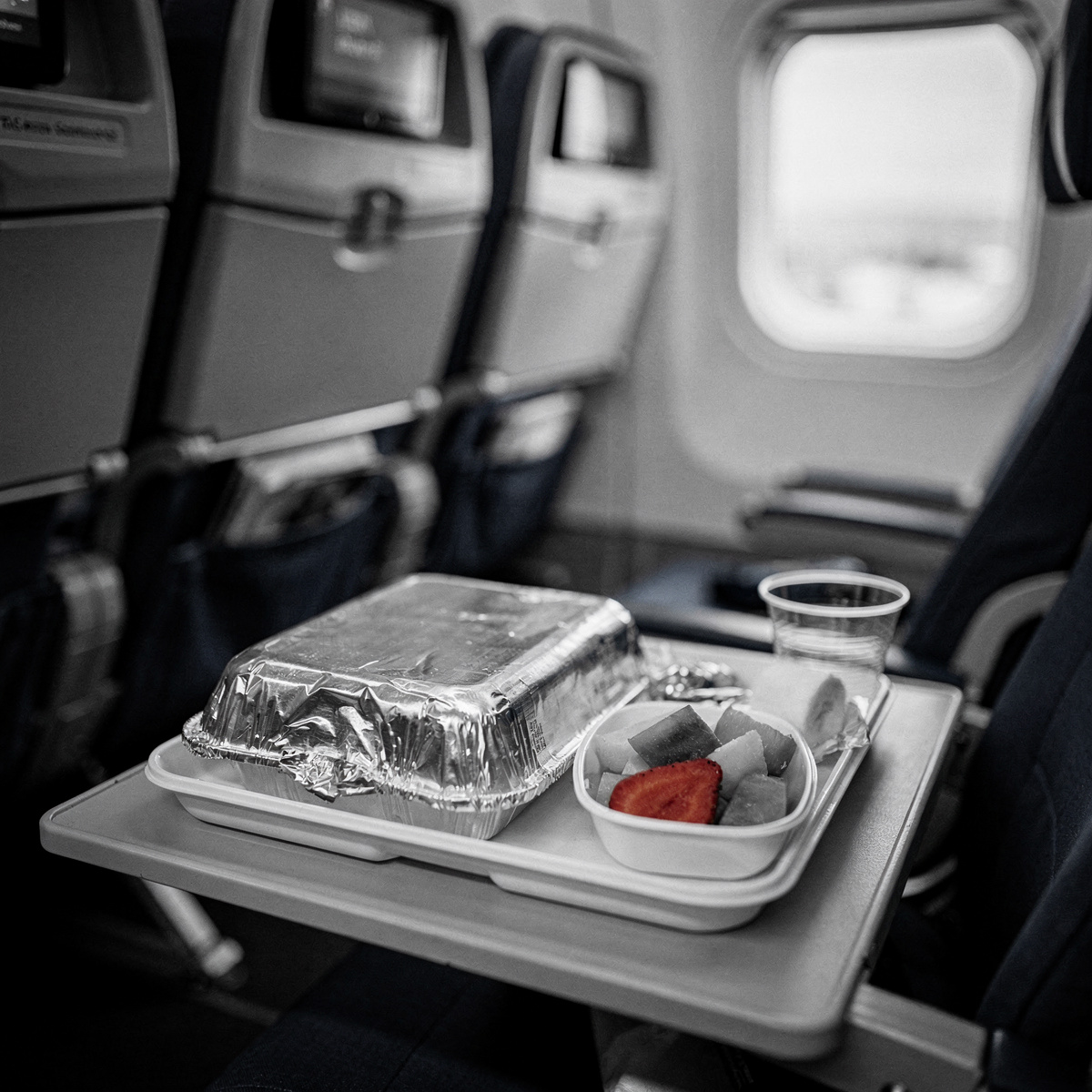 A special meal tray with a covered dish and a side of fruit, on a generic airline tray table in an economy cabin during daylight.