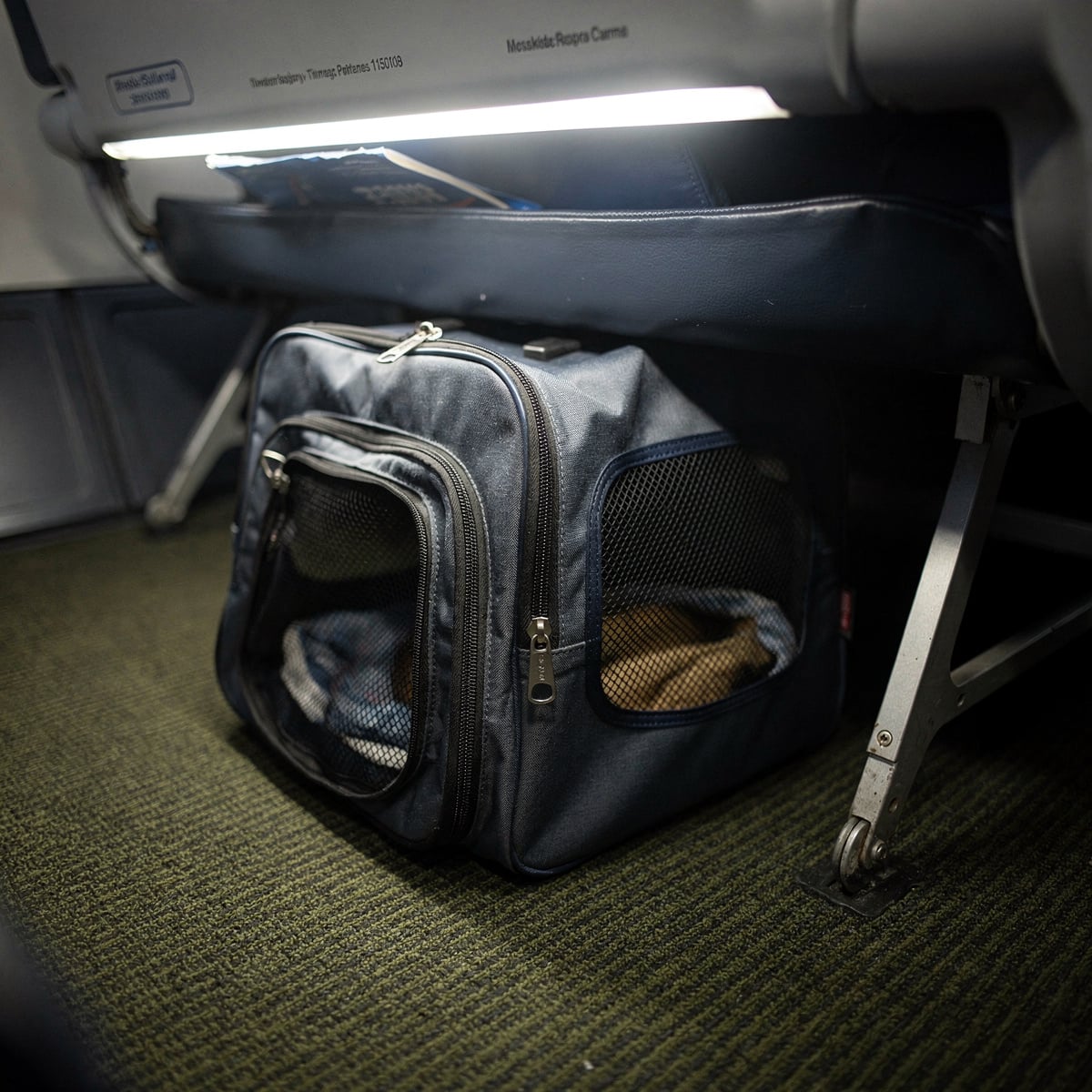 A small, generic pet carrier sits on the floor of an aircraft cabin, tucked under a seat in the footwell. The cabin is dimly lit, suggesting a nighttime or early morning flight.