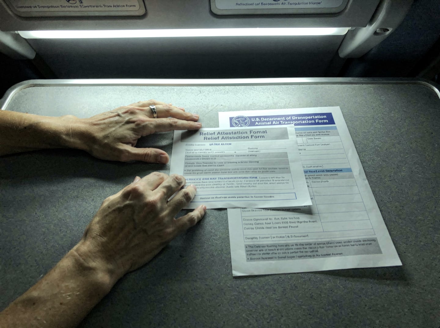 A traveler's preflight checklist, with a service animal form and a relief attestation form laid out on a neutral surface, illuminated by cool white overhead cabin lighting.